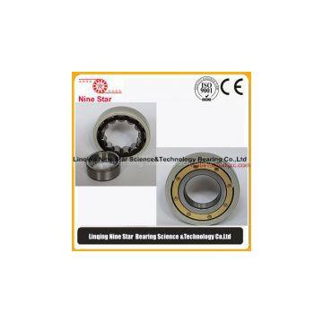 Traction Motor Bearings photo-3