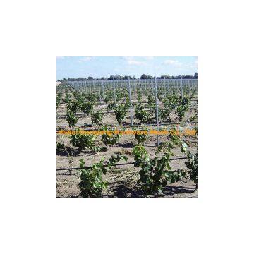 Galvanized Vineyard Metal Trellis Post