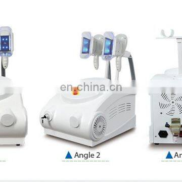 Renlang Top Seller Fat Reduction Device Fat Freeze Portable Slimming Machine photo-4