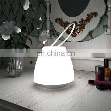 Factory Price Outdoor Portable Led Desk Camping Lantern Dimming Adjustable Brightness Handheld USB Led Night Light With Timer photo-4