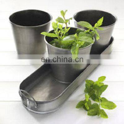 plants seeds decorative planters for sale