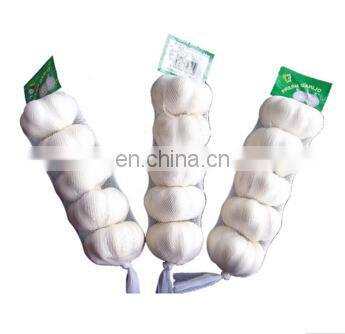 Pure White Fresh Garlic Chinese Garlic photo-4