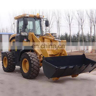 2000kgs Pay Loading Weight 4x4 Articulated Wheel Loader With Glass Fork for Sale photo-2