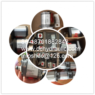 MARZOCCHI PUMP	GHP2AD13FG GHP2AD16FG GHP2AD20FG GHP2AD22FG GHP2AD25FG GHP2AD30FG GHP2AD37FGGHP2AD40FG