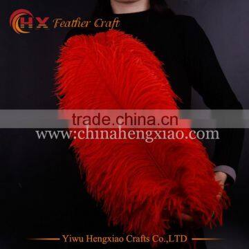 wholesale 24inch dyed party ostrich feathers for sale