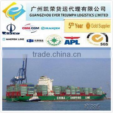 Sea Freight DDU Shipping Service from China to Semarang