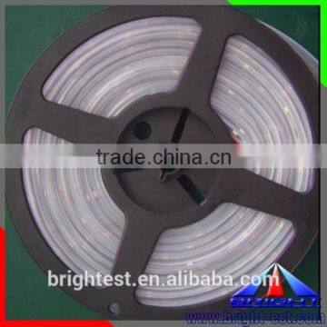 LM516B Super Bright 55lm LED SAMSUNG 5630 Strip 24V DC 2000LM/M photo-3