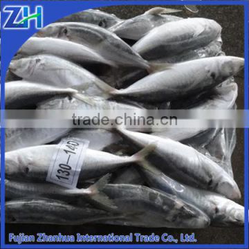 frozen horse mackerel fish cheap seafood whole round