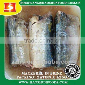 Canned Mackerel fish pass SLSI testing