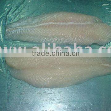 CATFISH (PANGASIUS HYPOPHTHALMUS)