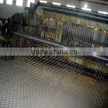 Galvanized Hexagonal Chicken Wire Mesh photo-3