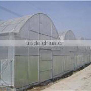 Greenhouse Film photo-3