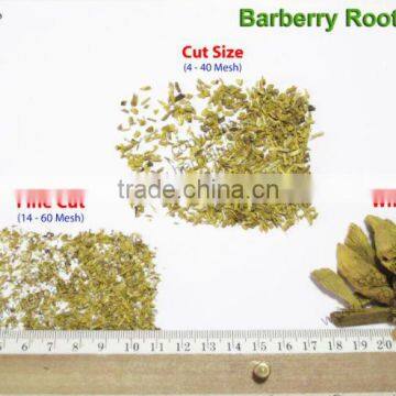 BARBERRY ROOT BARK