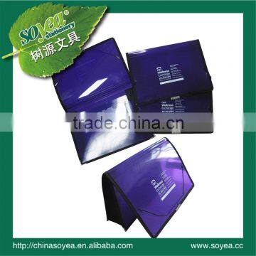 2012 purple pp file box