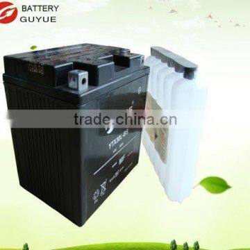 maintenance free batteries 12v 30Ah