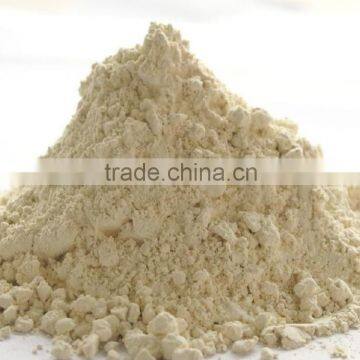 Manufacturer Supply 100% Pure Natural Raw Ginger Powder Raw Ginger Root Powder