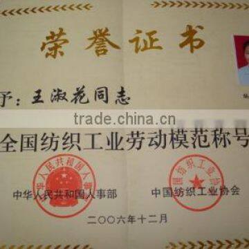 China's textile industrial model worker