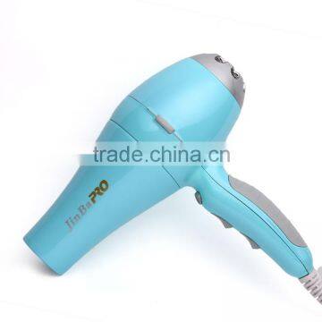 Ionic 2000W DC/AC Motor Hair dryer