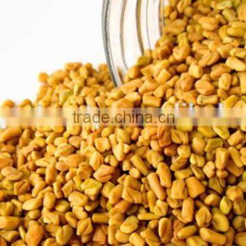 fenugreek