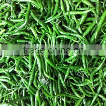 GREEN CHILLI