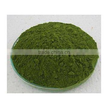 MORINGA PRODUCTS/ PURE DRIED LEAVES POWDER OF MORINGA