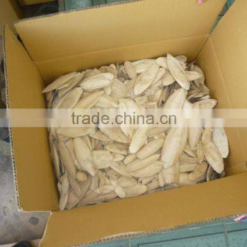 Cuttlefish Bone from Viet nam with Best Price