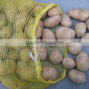 Chinese holland Potato in bags