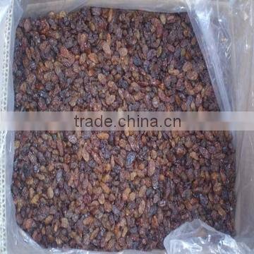 China Dried Sultana Raisin