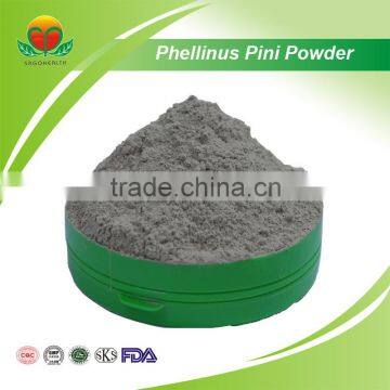 2016 Hot Sale Phellinus Pini Powder