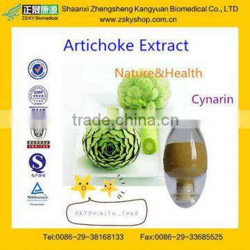 GMP Certified Factory Supply Artichoke Leaf Extract