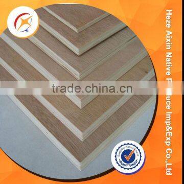 16mm Chinese Twin Okoume Plywood