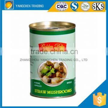 Hot selling straw mushroom in tins