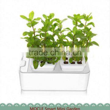 companies looking for oversea agents