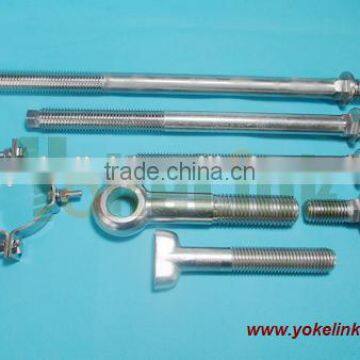 304 Stainless Steel T Handle Bolt photo-3