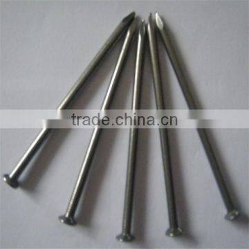 2015 Hot Sale Building Common Wire Nail, Construction Common Nail Iron Nail Factory photo-4