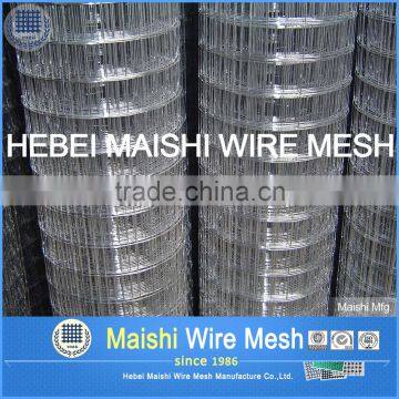 Welded Rabbit Cage Wire Mesh photo-5
