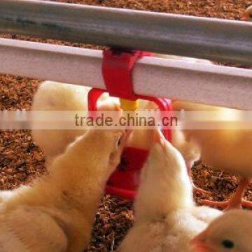 Farming Poultry Automatic Feeding System for Poultry Farming Equipment Auto. Feeding Pan System photo-3