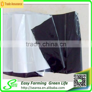 Black and white PE biodegradable mulch plastic film for agriculture