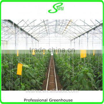 100x8m Agricultural Plastic Tunnel Greenhouse for Sale photo-2