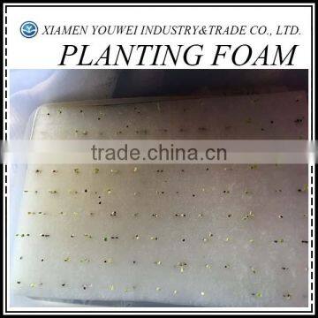 Colored Round Floral Foam Supplies For Sale