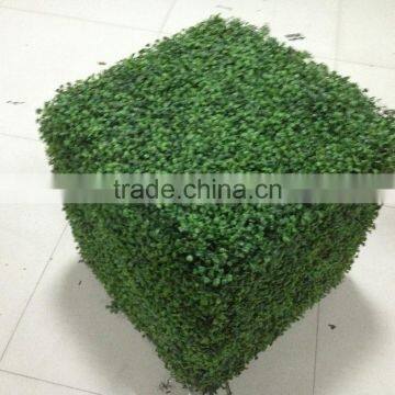 CHY040819 Home Artificial Hedge, Garden Golden Grass Hedge Suppliers photo-3