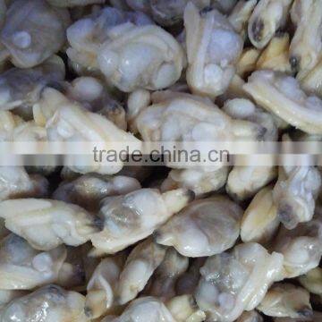 Frozen boiled clam meat for Vietnam making seafood mix