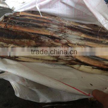 Frozen Illex Squid W/R New Landing 2015 Big Quantity photo-6