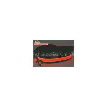 High Visibility Flashing Lights Nylon LED Dog Leash 5 Feet For Dog Up To 90lbs