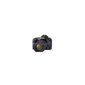 Canon EOS 5D 12.8 MP SLR (EF 24-105mm f/4 L IS USM Lens)