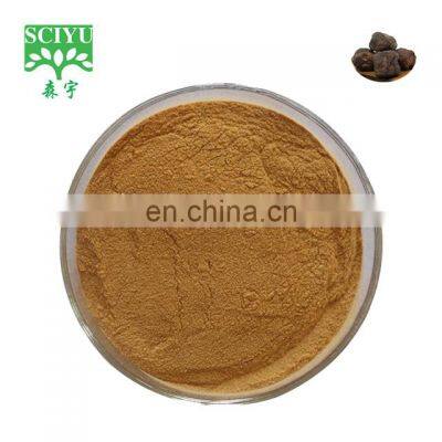 free sample pure natural gambir catechin gambir extract