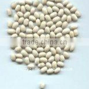 White kidney bean Japanese type crop 2011