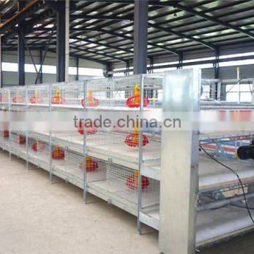 Automatic hot galvanized farming broiler cage for Nigeria