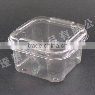 Strawberry Clamshell