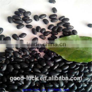 China black beans(2014 crop)